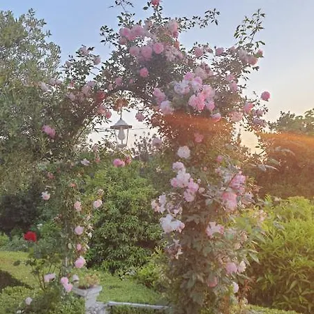 Apartment Family Dominkovic *