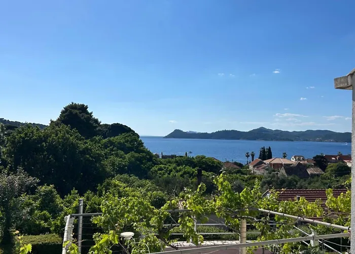 Family Dominkovic * 로푸드